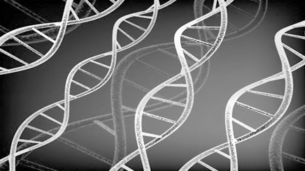 DNA