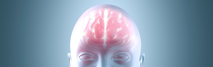Hot Brain