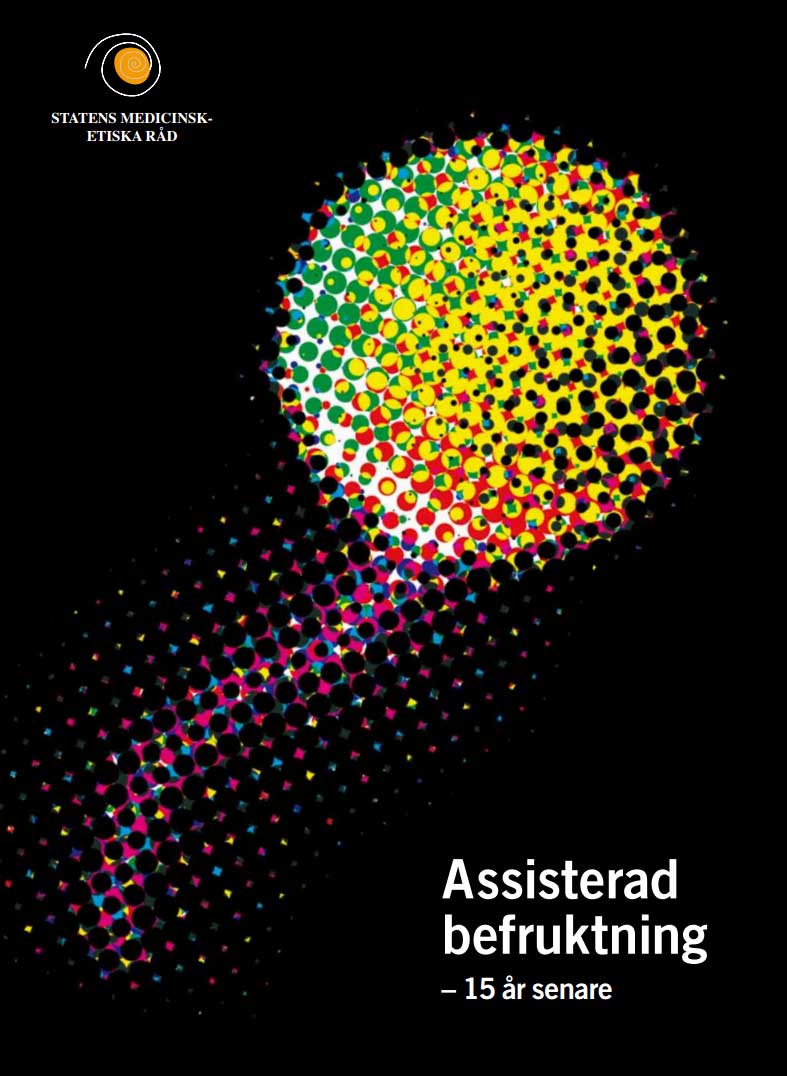 konferensrapport